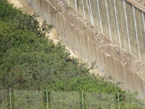 Parte de las concertinas que no fueron retiradas por España en Melilla. / José Palazón