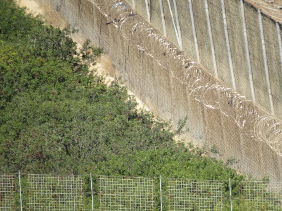 Parte de las concertinas que no fueron retiradas por España en Melilla. / José Palazón